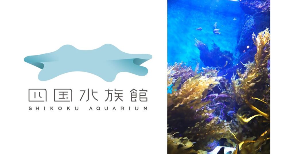 四国水族館が「ナルトワカメ」の展示を開始　岩礁に広がる“豊饒の海”を再現、環境保全への理解促進も