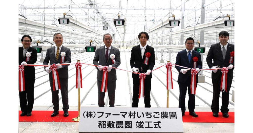 茨城県稲敷市に大規模いちご農園が竣工　ファーマインドが次世代型農業モデルを推進