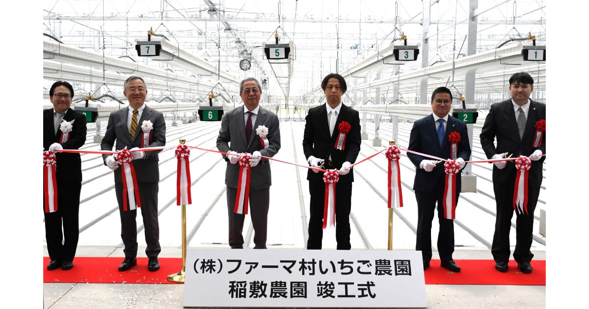 茨城県稲敷市に大規模いちご農園が竣工　ファーマインドが次世代型農業モデルを推進