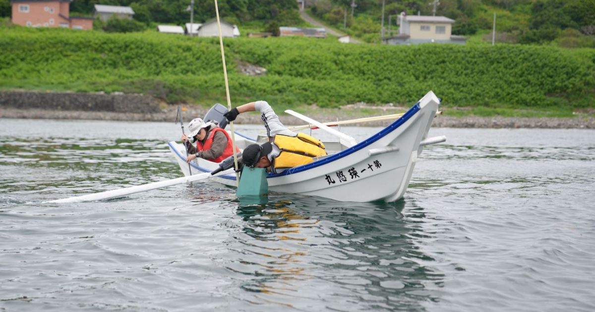焼尻島から始まる「環境回復型漁業」への挑戦、UMITO Partnersと北るもい漁協焼尻支所が藻場保全プロジェクトを始動