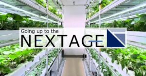 わさびの大規模植物工場での栽培技術開発を開始　株式会社NEXTAGEと三菱ガス化学株式会社、海外市場に向けた戦略的生産体制構築へ