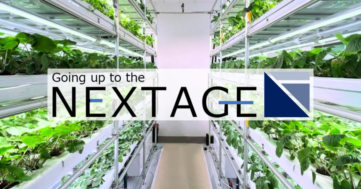 わさびの大規模植物工場での栽培技術開発を開始　株式会社NEXTAGEと三菱ガス化学株式会社、海外市場に向けた戦略的生産体制構築へ