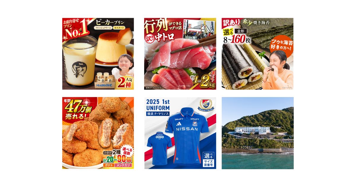 横須賀市のふるさと納税、寄附額・件数ともに過去最高を記録　宿泊・体験型返礼品が寄附全体の約41％に
